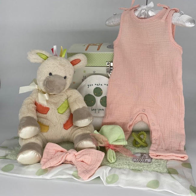 Sweet Giraffe Collection - ncludes an adorable giraffe, ultra-soft mini blanket from Little Giraffe, a cute jumper with matching bow (size 0-3 mos.), hooded towel & washcloth.